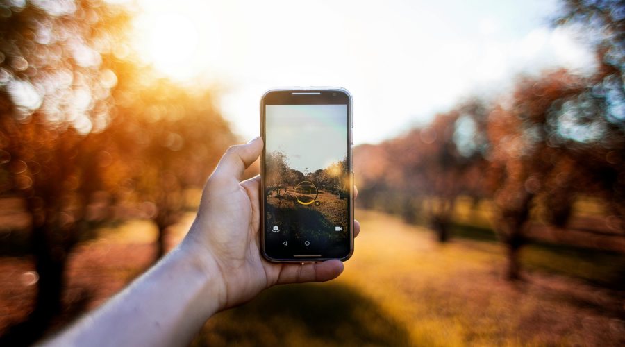 pexels-almadastudio-630863