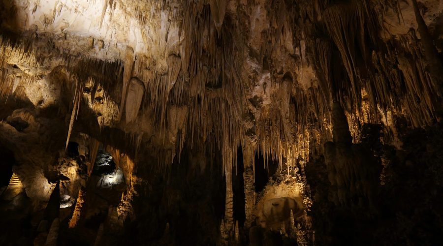 carlsbad caverns looking up