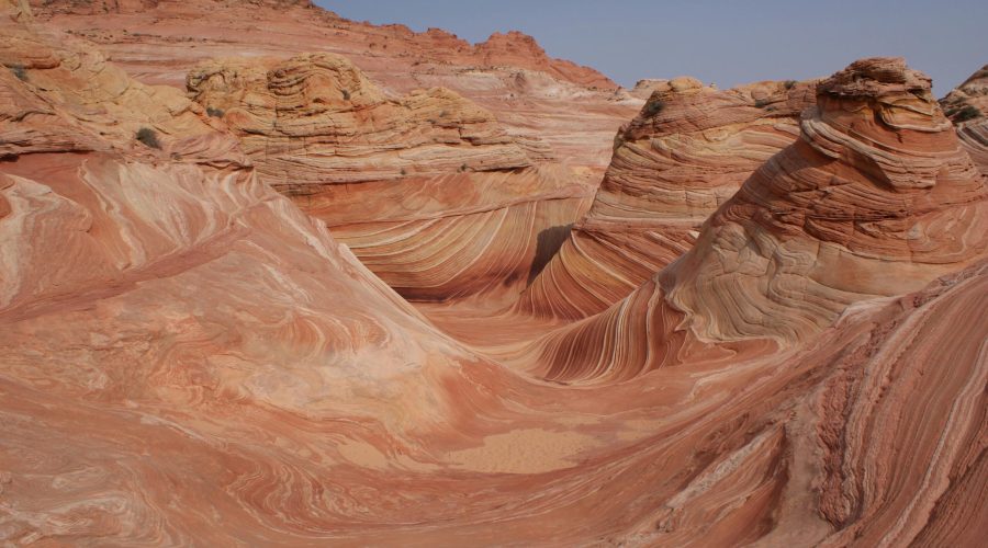 pexels-brett-bennett-162270261-19908900