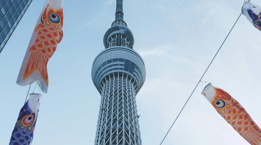 pexels-evgeny-tchebotarev-1058775-2187430