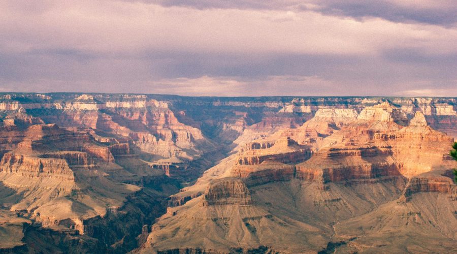 pexels-joshsorenson-63553