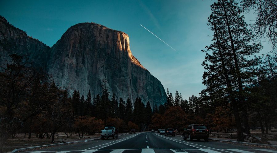 pexels-nicholas-dias-1119542-2116471