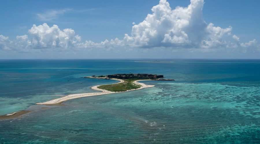 pexels-olliecraig1-28084067